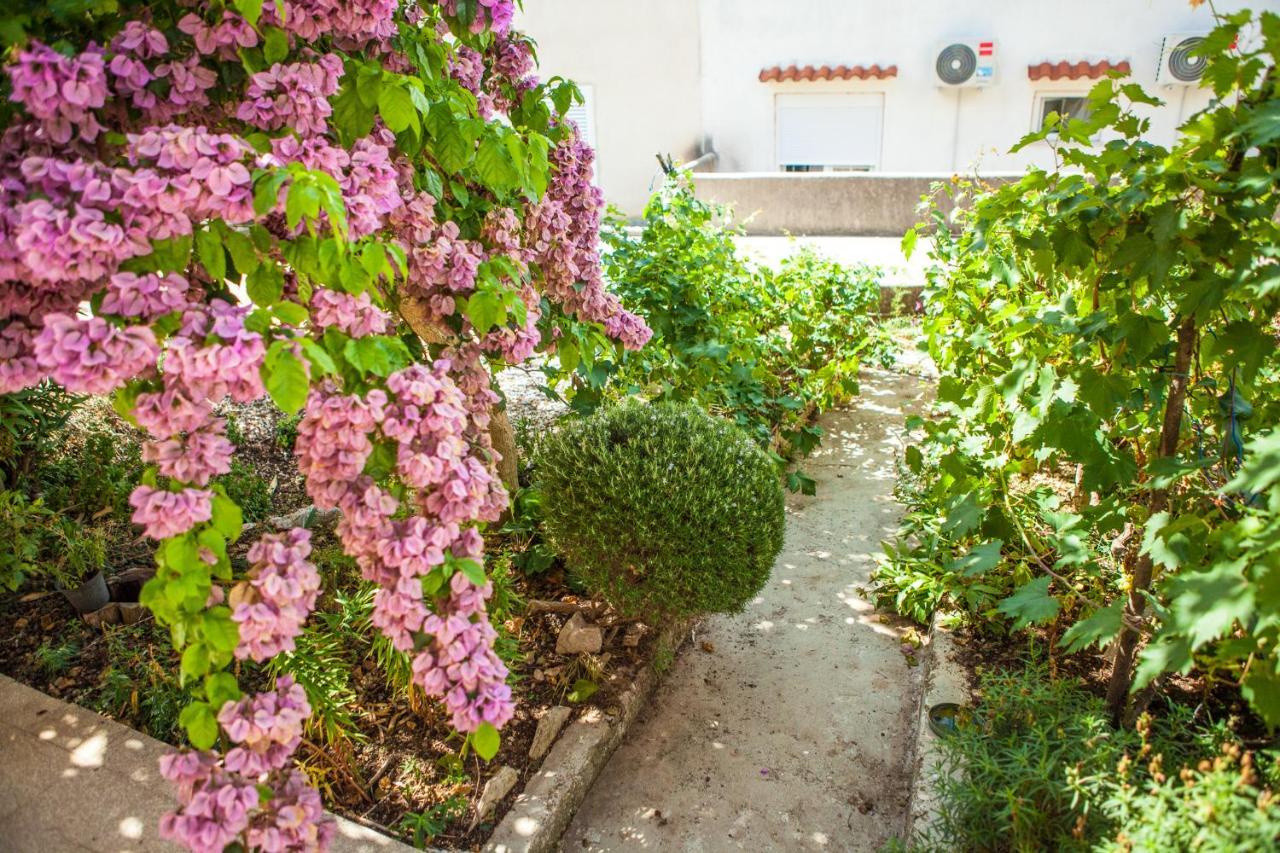 Apartments Alma Novalja Exterior foto